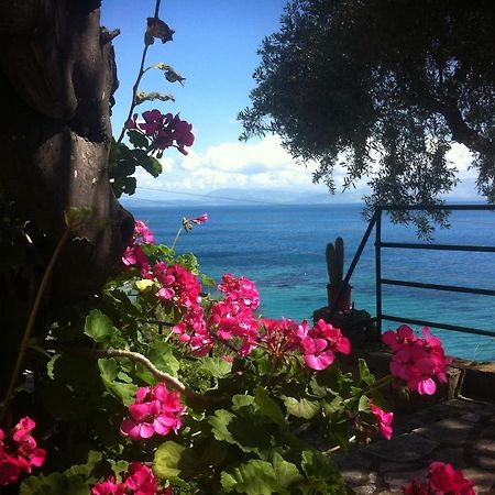 Villa Fourtuna Apartment Agios Ioannis Peristerion Екстериор снимка