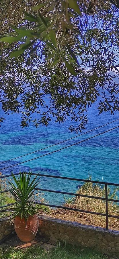 Villa Fourtuna Apartment Agios Ioannis Peristerion Екстериор снимка