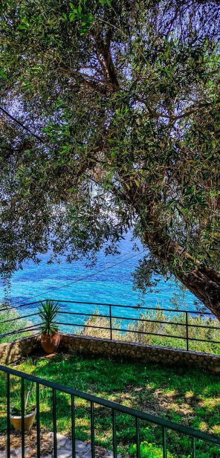 Villa Fourtuna Apartment Agios Ioannis Peristerion Екстериор снимка
