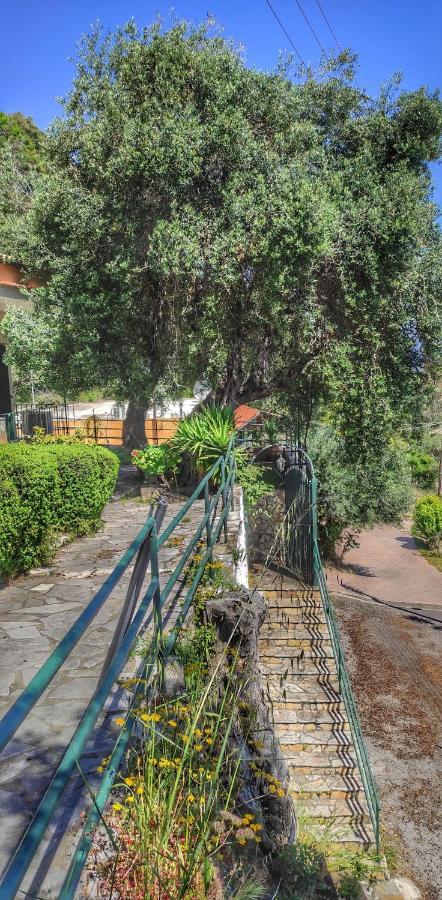 Villa Fourtuna Apartment Agios Ioannis Peristerion Екстериор снимка