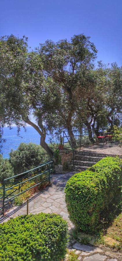 Villa Fourtuna Apartment Agios Ioannis Peristerion Екстериор снимка