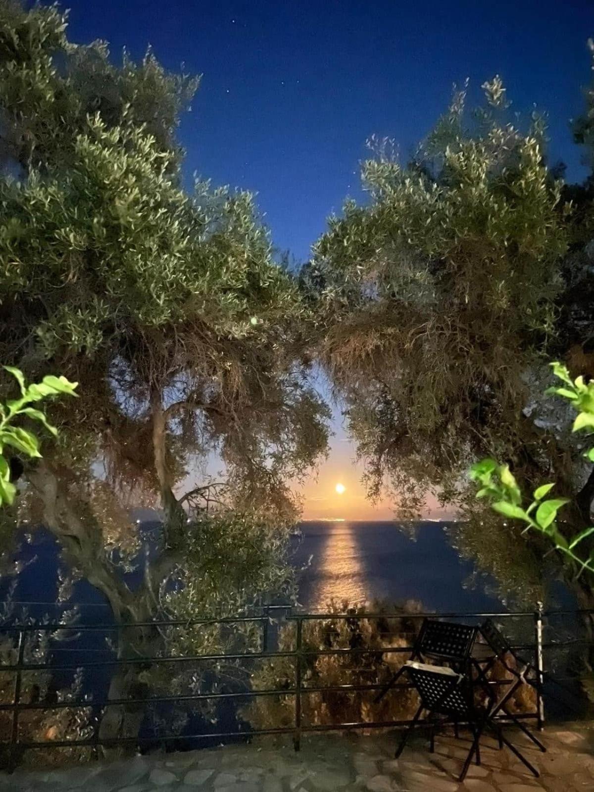 Villa Fourtuna Apartment Agios Ioannis Peristerion Екстериор снимка