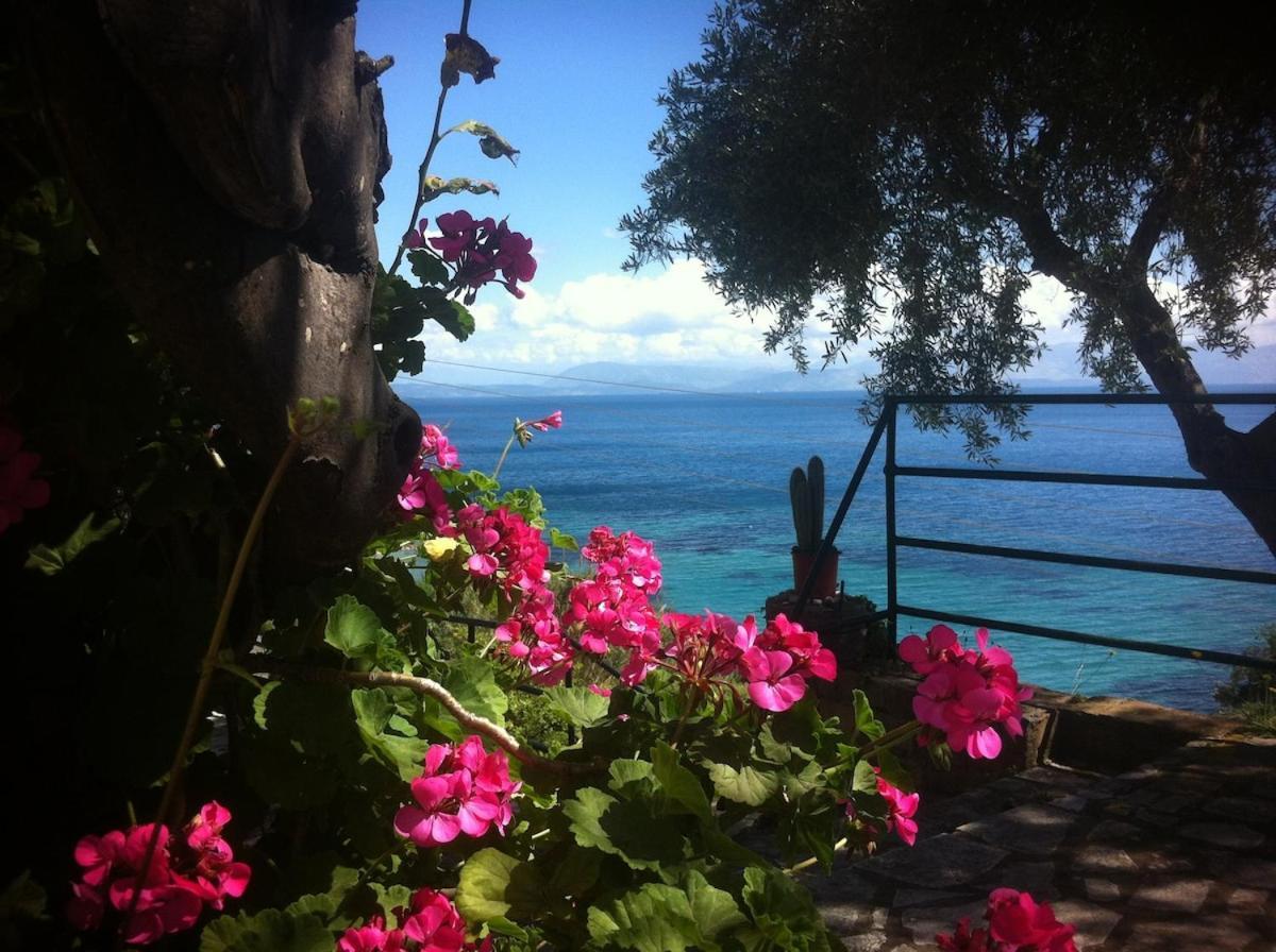 Villa Fourtuna Apartment Agios Ioannis Peristerion Екстериор снимка