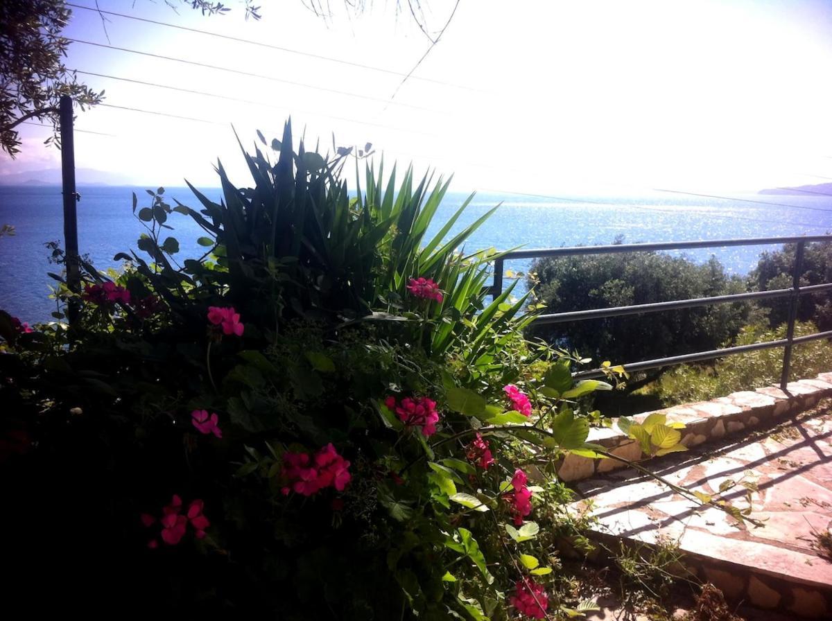 Villa Fourtuna Apartment Agios Ioannis Peristerion Екстериор снимка