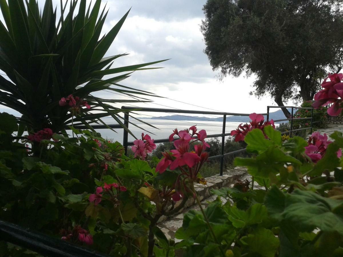 Villa Fourtuna Apartment Agios Ioannis Peristerion Екстериор снимка