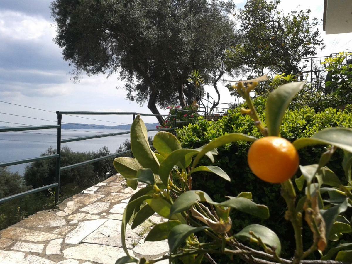 Villa Fourtuna Apartment Agios Ioannis Peristerion Екстериор снимка