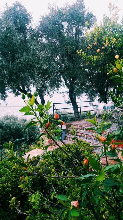 Villa Fourtuna Apartment Agios Ioannis Peristerion Екстериор снимка
